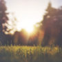 fond_nature